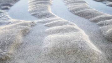 Uma praia de areia com pegadas e uma concha.