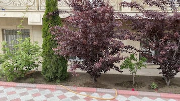 Vista al jardín