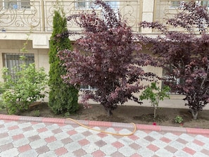 Vue sur le jardin