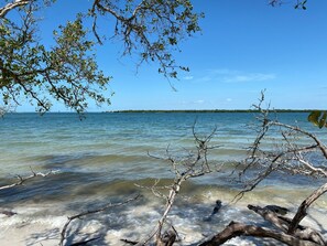 Une plage avec une eau claire, des arbres et une côte visible au loin.