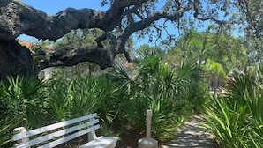 Un banc blanc dans un parc, avec un grand arbre et différentes plantes vertes.