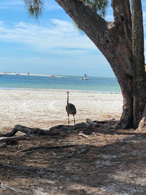 Plage