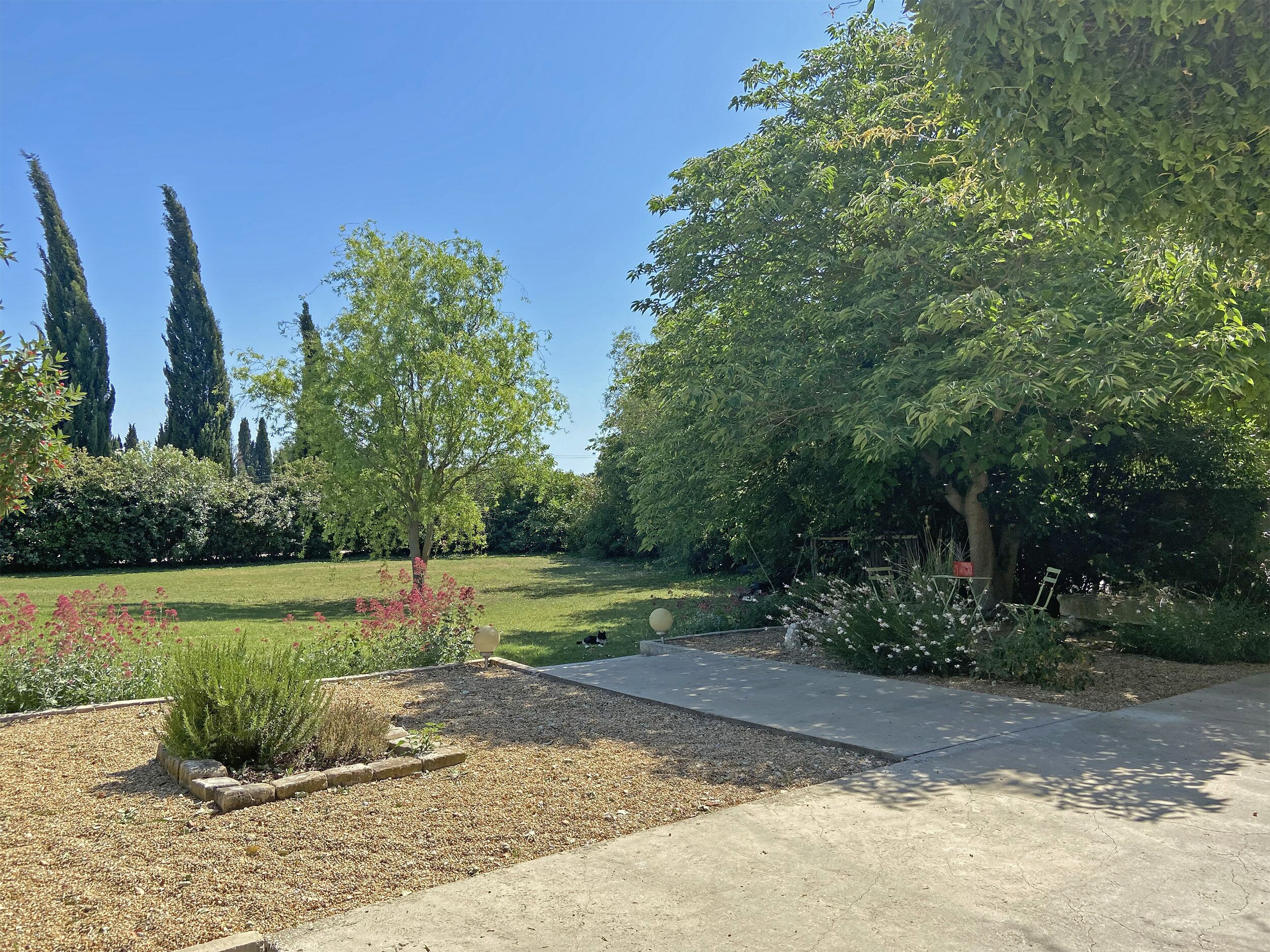 A garden with a paved walkway, various trees, and a grassy area.