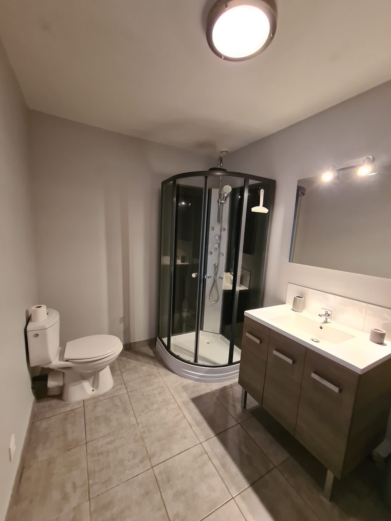 A modern bathroom with a glass-enclosed shower, a toilet, and a vanity with a mirror.