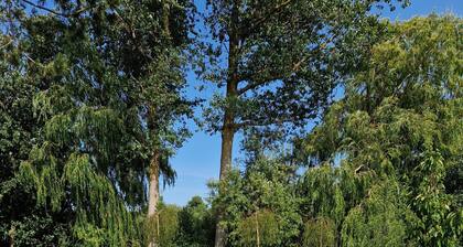 "storchenhuus", Wunderschönes Fachwerkhaus , Garten , 200 m vom Bodden