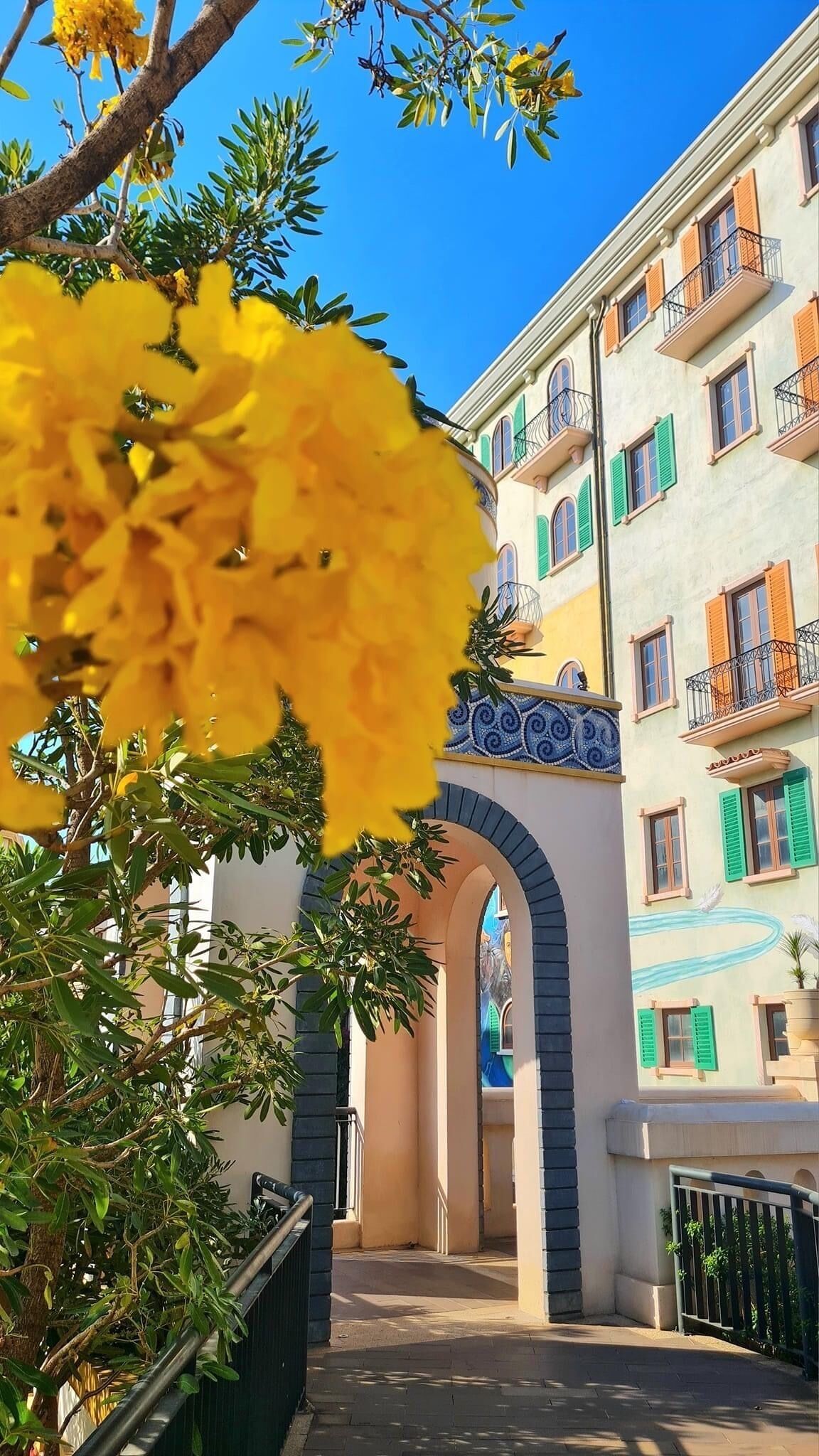 Foto - Lotus Home Cafe - Budget