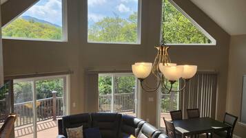 TV, fireplace, video games, DVD player