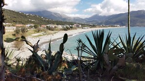 Un paysage côtier avec des cactus et une vue sur une plage et des montagnes lointaines.