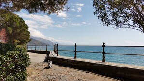 Une promenade en bord de mer avec une rambarde en métal, un chien, et une vue sur la mer et les montagnes.