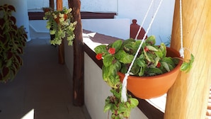 Un espacio exterior techado con vigas de madera y suelo de hormigón. Hay macetas colgantes con plantas verdes y flores rojas.