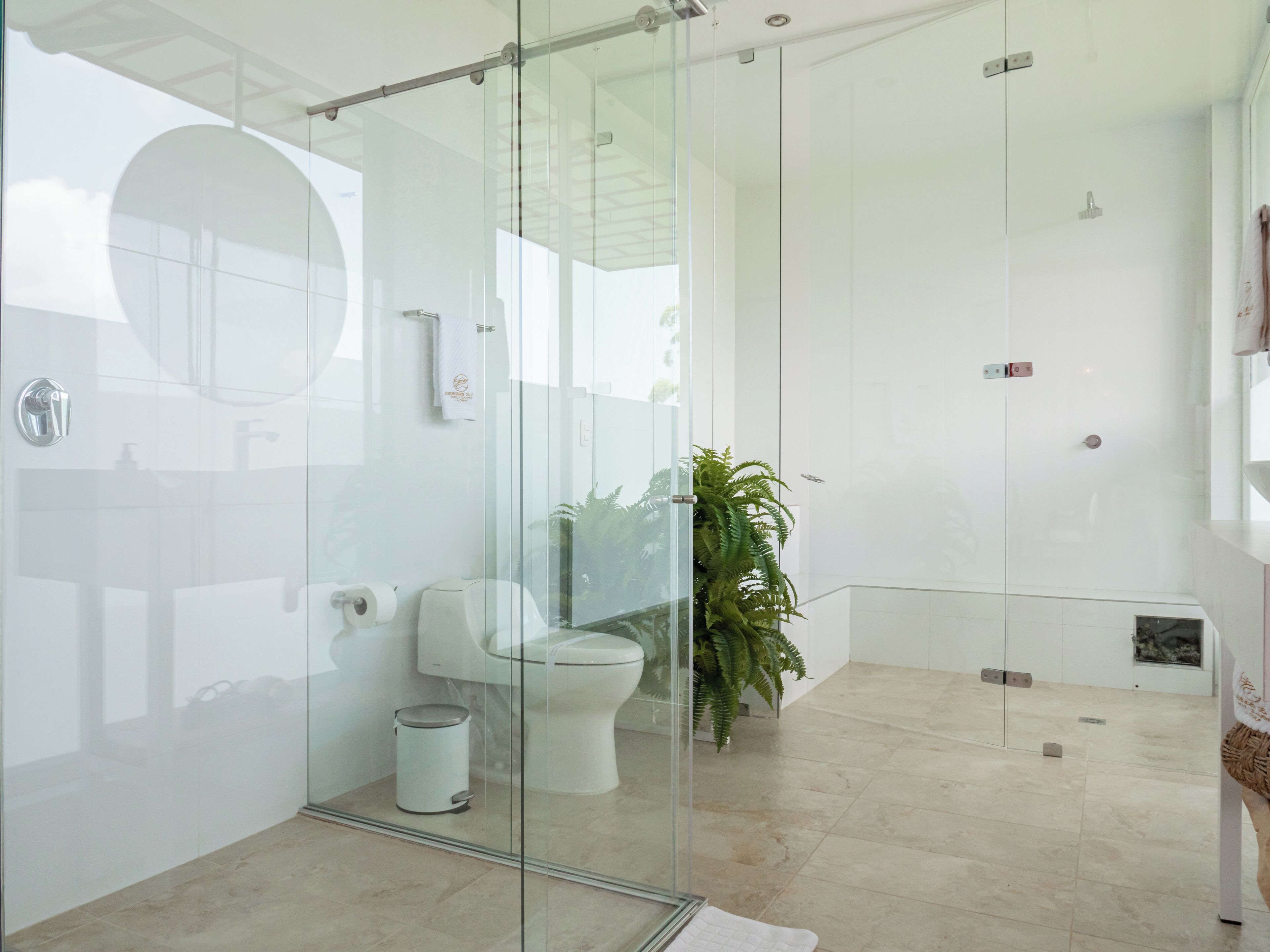A modern bathroom with a glass shower enclosure, a toilet, a trash can, and a potted plant.