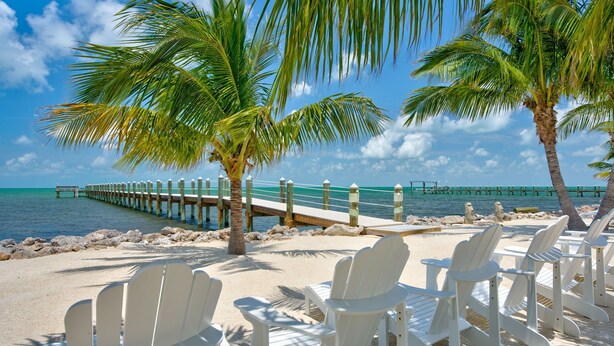 A beach with white Adirondack chairs, palm trees, and a pier extending into the water. - MILLION DOLLAR VIEW very private 4 bedroom resort with pool, pier, kayaks, spa (Marathon)