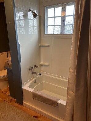 Hair dryer, towels, soap, toilet paper - Village Apt (Saugerties)