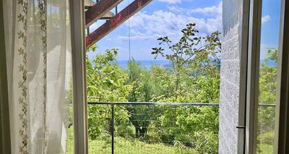 S319 - Sirolo, three-room apartment with sea view and garden
