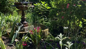 Een tuin met een fontein, diverse planten en bloemen.