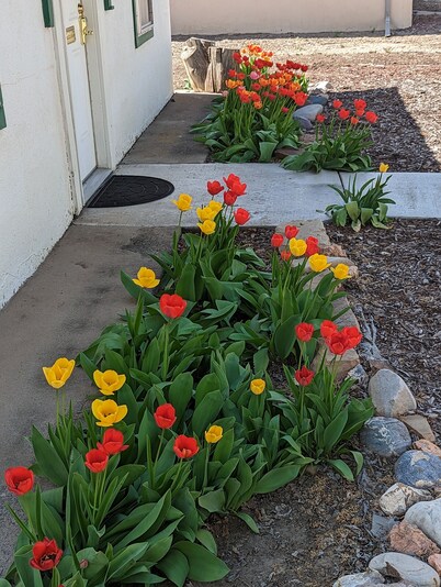 AG House for Sport Recreaters, Walker/Wheelchair ♿, Pets, Work/Write Remotely.