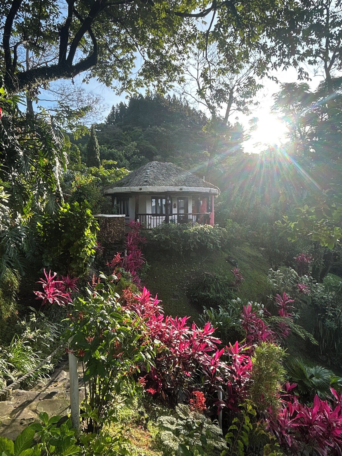 Image de profil de l’hôte