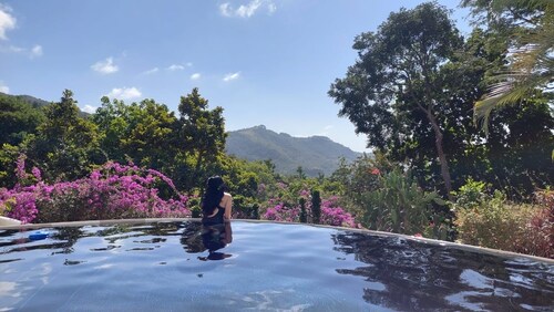 Romantic Luxury Villa  La Fortuna with infinity pool and mountain view .