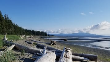 ビーチの近く、ビーチタオル