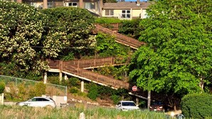Un quartier résidentiel avec un escalier en bois menant à une maison, le tout entouré d’une végétation luxuriante et d’arbres.