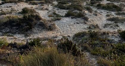 Apartamento em Praia D'el Rey Golf & Beach& Swimmingpool