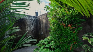 Vista al jardín
