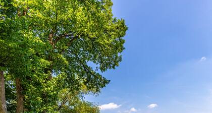 Beautiful Lake Sallie Views, Newly Updated Barbara Beach Lake Home