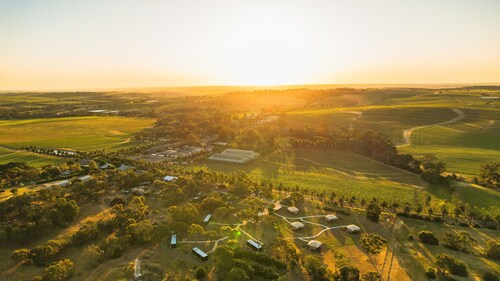 CABN X Seppeltsfield Barossa