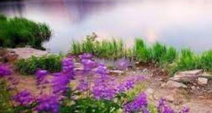 Cozy House in Eureka.