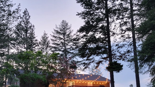 A cabin with a deck, surrounded by trees. - The Ultimate Sunset on Flathead Lake (Polson)