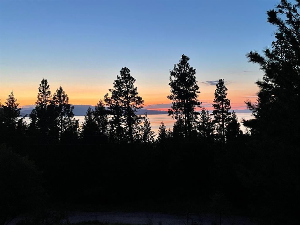 A forested landscape with a sunset over a body of water.