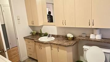 Hair dryer, bidet, towels, toilet paper