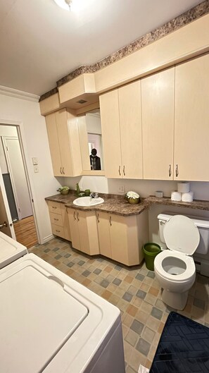 Een haardroger, een bidet, handdoeken, toiletpapier