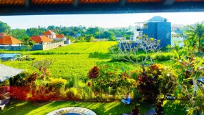 A view of a lush green field with a building in the background. - 3BR Villa Queen With Stunning Rice Field (Blahbatuh)