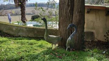 DĂ©tail de lâextĂ©rieur