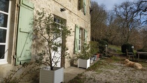 Ein rustikales Steinhaus mit grünen Fensterläden, ein kleiner Garten mit Topfpflanzen und ein Hund, der im Gras liegt.