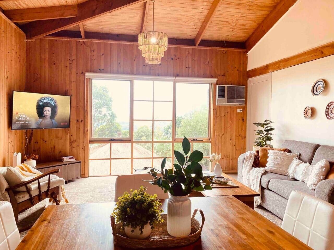 Smart TV, books, video library