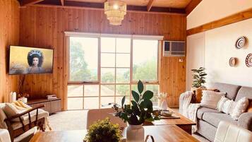 Smart TV, books, video library