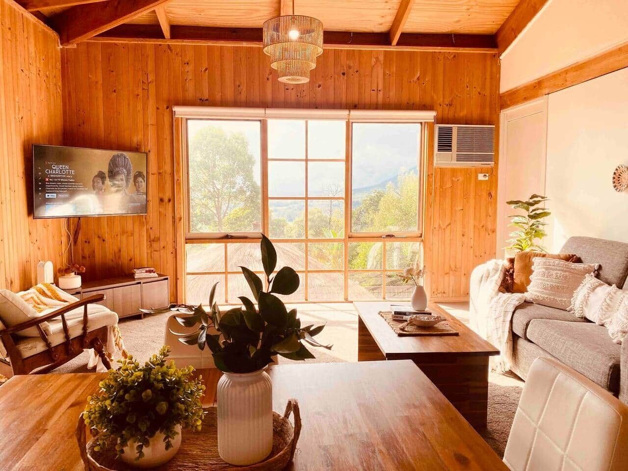 Smart TV, books, video library