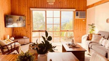 Smart TV, books, video library