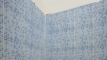 Habitación doble económica | Baño | Regadera y toallas