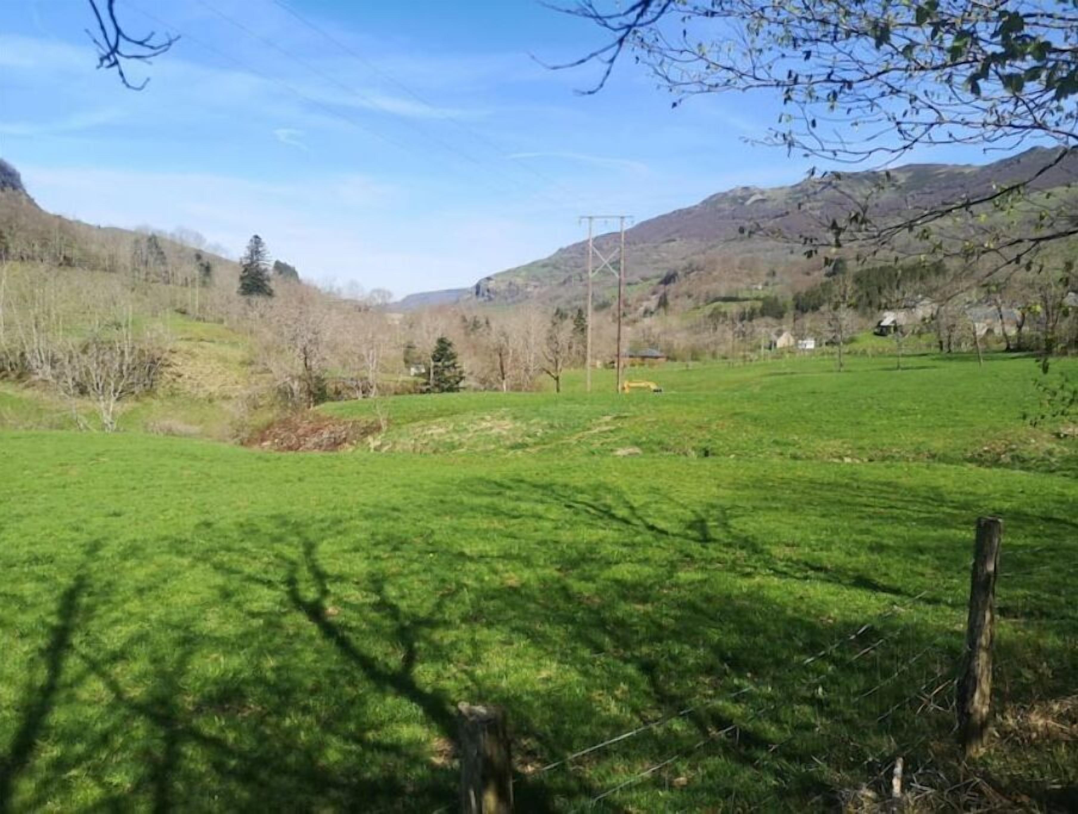 Ländliche Landschaft mit einer Wiese, Bäumen und Hügeln im Hintergrund.