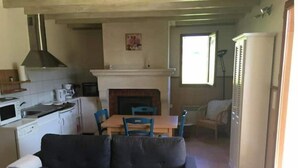 A compact living space with a kitchenette, a sofa, a dining table, and a fireplace.