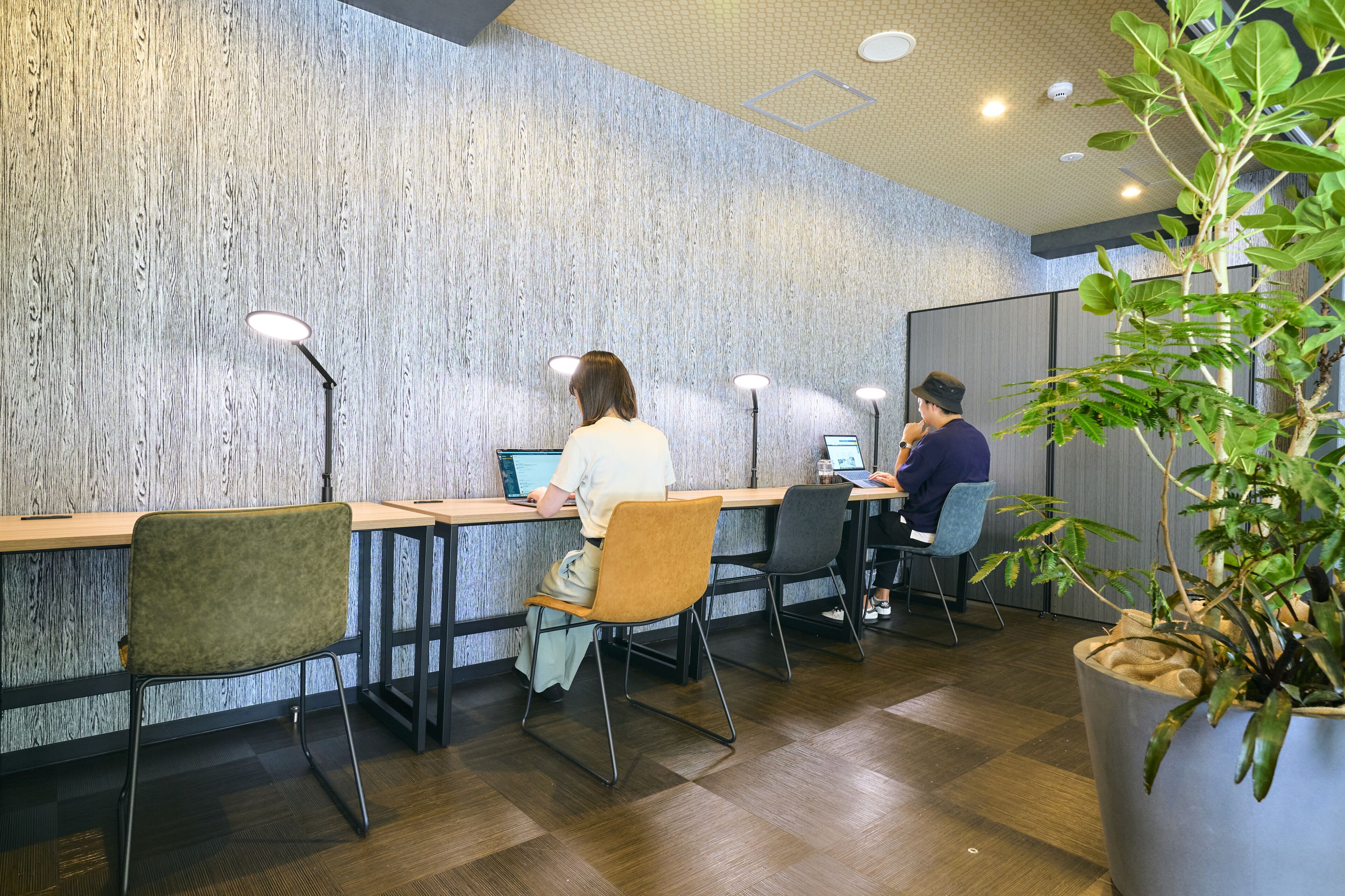 A modern office space with wooden panel walls, multiple workstations, and a large potted plant.