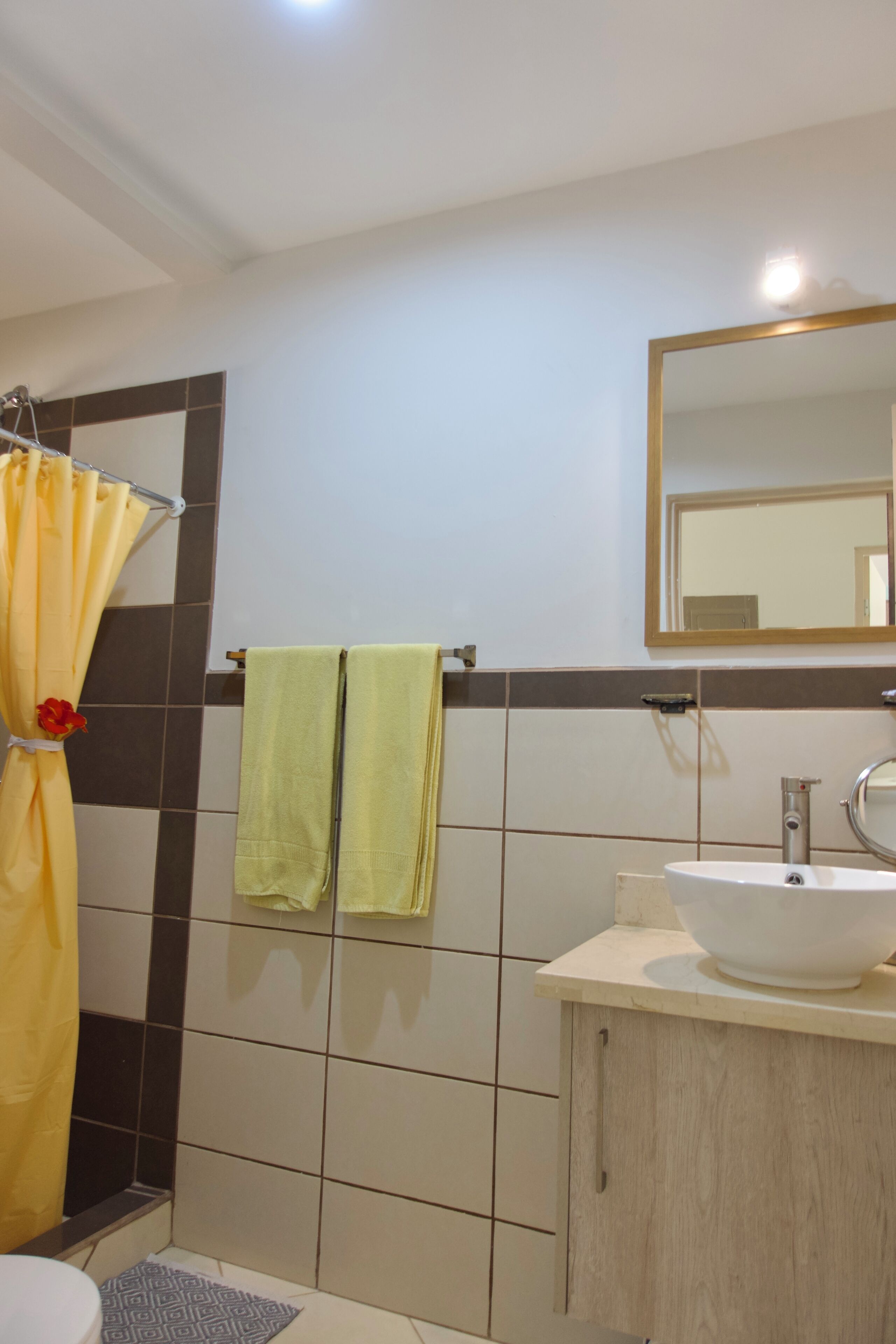 Une salle de bain avec une douche, un lavabo et un miroir.