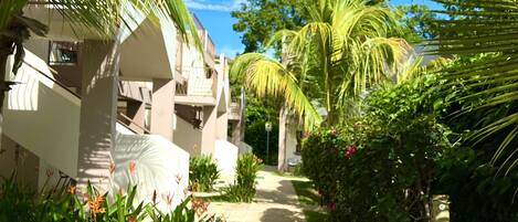 Un sendero bordeado de exuberante vegetación y palmeras, que conduce a un edificio de fachada blanca y balcones.