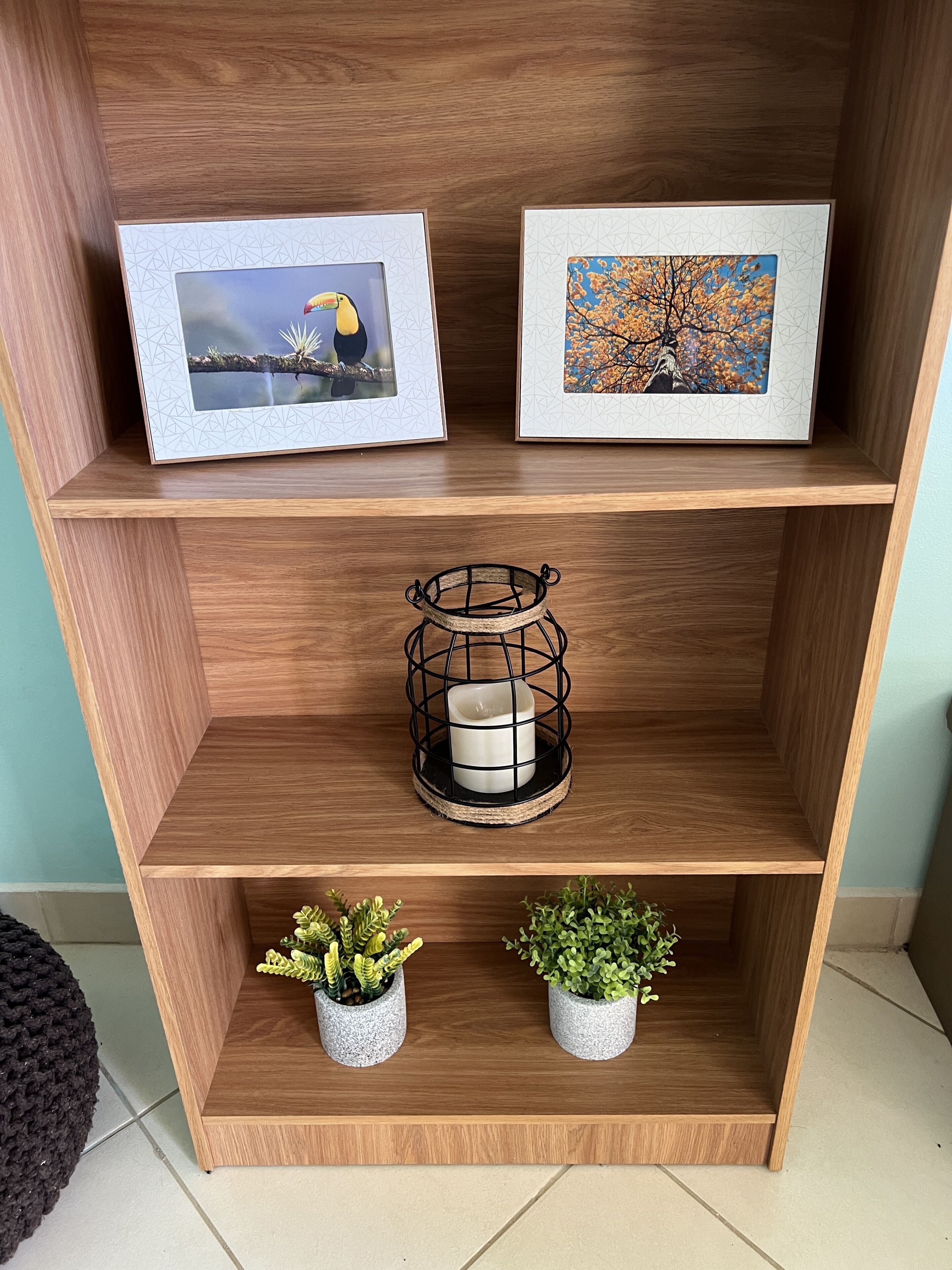 A wooden shelf with two framed pictures, a candle in a wire holder, and two potted plants.
