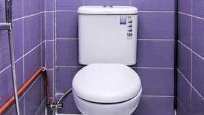 Een badkamer met paars betegelde wanden, een wit toilet en een douchekop.