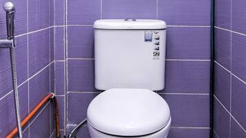 Shower, towels, toilet paper