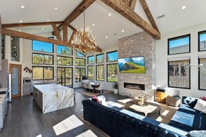TV, fireplace, video games